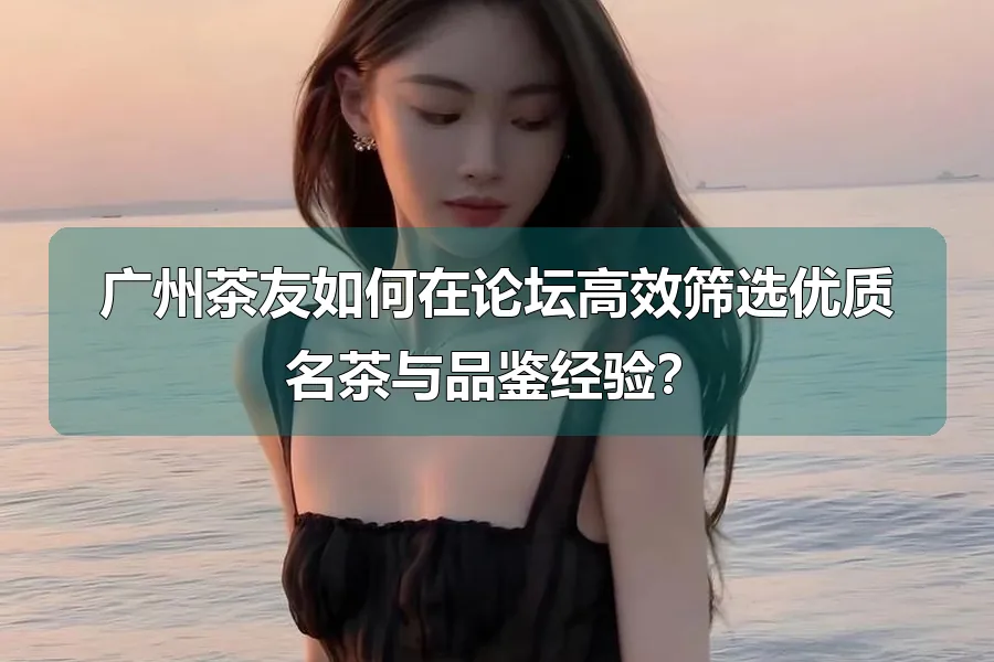 广州茶友如何在论坛高效筛选优质名茶与品鉴经验？